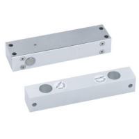 Narrow Panel Electric Bolt Lock(Short Panel)