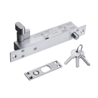 Electric Bolt Lock with Keys